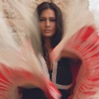 Image representant la detes du flamenco